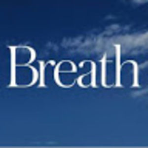 Meet your Posher, Kendall